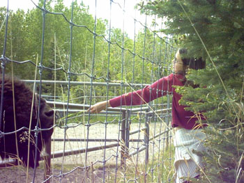 2005 - Part 1 - The Road to Alaska - 19 Calgary Zoo Alberta 02