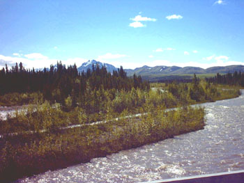 2005 - Part 2 - Alaska Phase I - 03 Denali National Park 02 AK