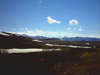 2005 - Part 2 - Alaska Phase I - 04 Denali National Park 03 AK