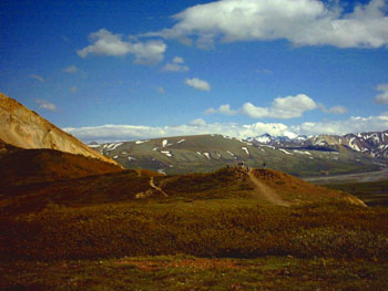 2005 - Part 2 - Alaska Phase I - 06 Polychrome Lookout Denali AK