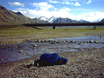 2005 - Part 2 - Alaska Phase I - 08 Robyn at Denali AK