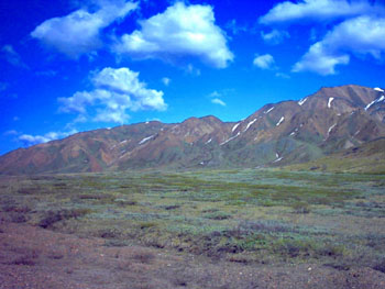 2005 - Part 2 - Alaska Phase I - 10 Denali National Park AK