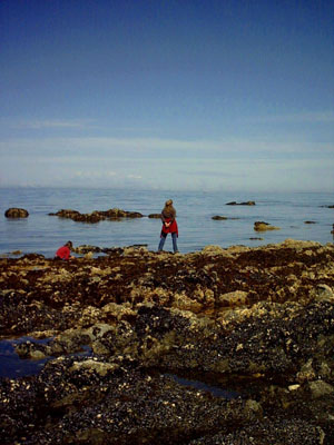 2005 - Part 3 - Alaska Phase II - 32 Outside Beach Seldovia AK
