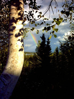 2005 - Part 3 - Alaska Phase II - 63 Rainbow at Funny River