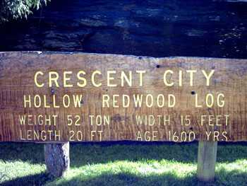 2005 - Part 4 - Back in the Lower 48 - 12 Crescent City CA welcome sign