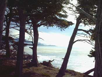 2005 - Part 4 - Back in the Lower 48 - 28 Famous view at Pebble Beach CA