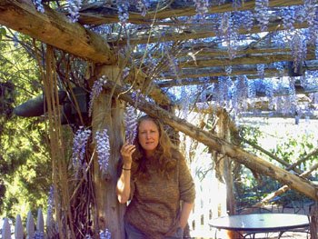 2006 - Part 1 - The Road to Florida - 18 - Sharon loves the Wisteria Salem NC