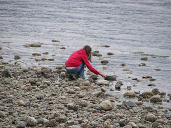 2006 - Part 2 - The Road Back to Alaska - 03 - Porteau Cove 2 BC