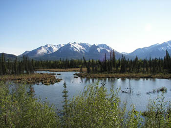 2006 - Part 2 - The Road Back to Alaska - 28 - Just south of Alaska Yukon