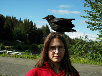 2006 - Part 3 - Alaska Phase III - 15 - Baby raven Seldovia AK