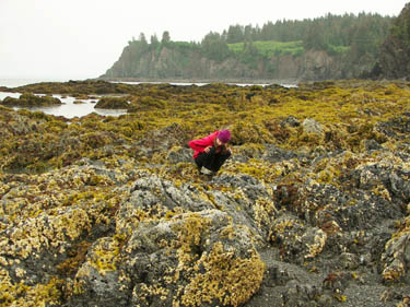 2006 - Part 3 - Alaska Phase III - 18 - Robyn closeup Outside Beach AK